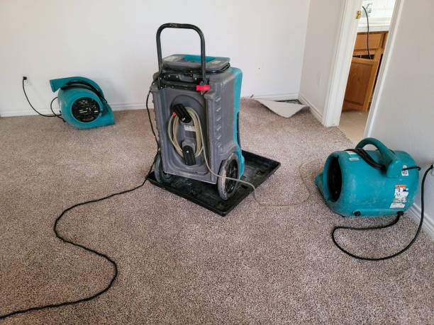 Best Fire Damage Restoration  in Cerritos, CA
