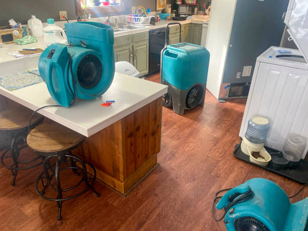 Best Mold removal after water damage  in Cerritos, CA