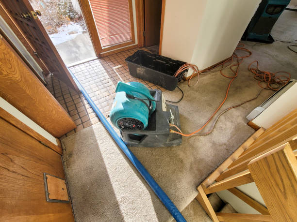 Best Flooded house restoration  in Cerritos, CA
