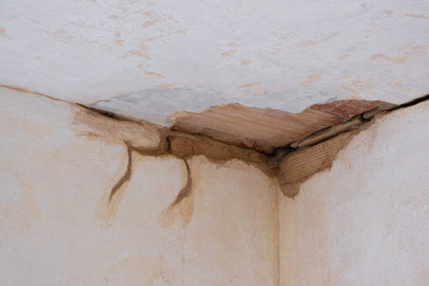 Best Ceiling water damage repair  in Cerritos, CA