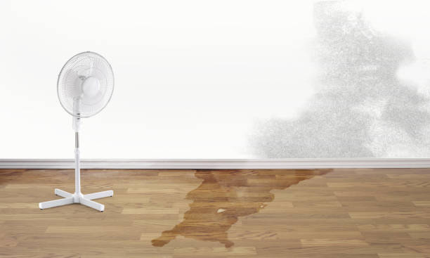 Best Basement water damage restoration  in Cerritos, CA