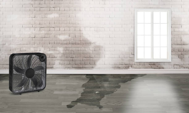Best Emergency water damage restoration  in Cerritos, CA