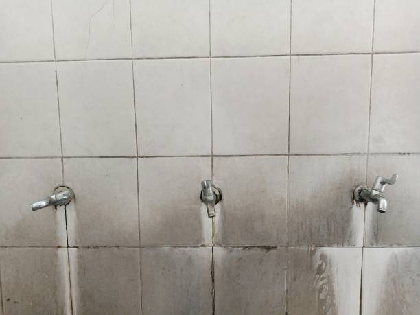 Best Flood damage cleanup  in Cerritos, CA