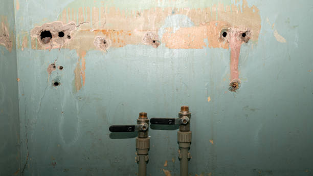 Best Water damage restoration near me  in Cerritos, CA
