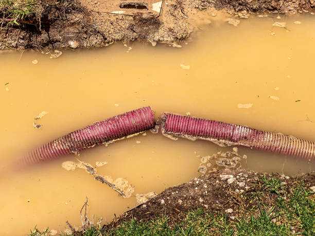 Best 24/7 water damage repair  in Cerritos, CA