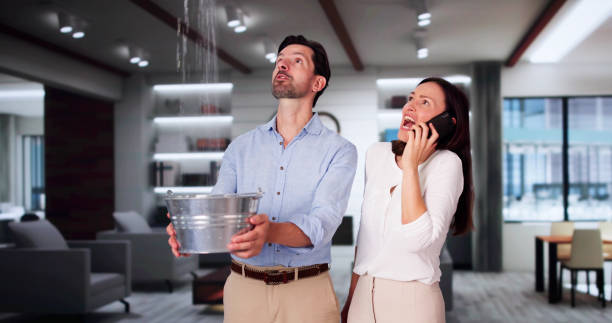 Best Water damage contractors near me  in Cerritos, CA