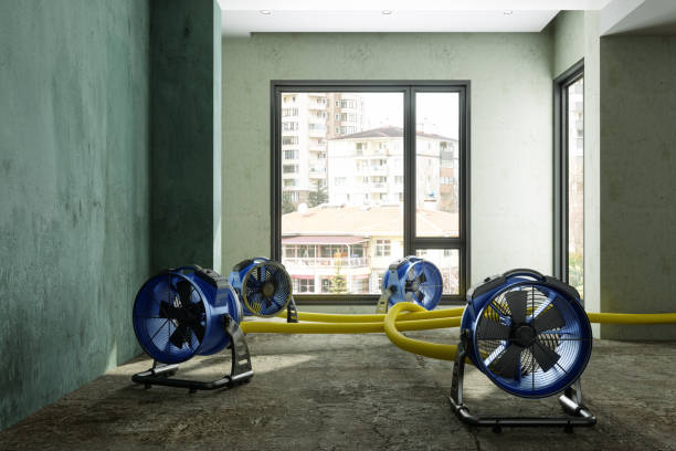 Best Local water damage restoration  in Cerritos, CA