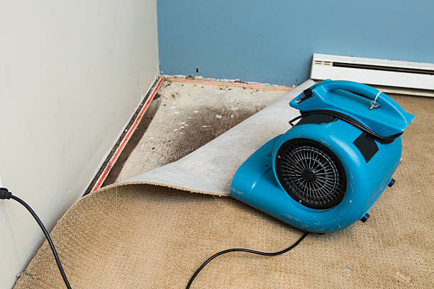 Best Commercial water damage restoration  in Cerritos, CA